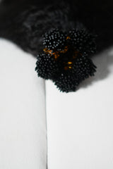 Noire